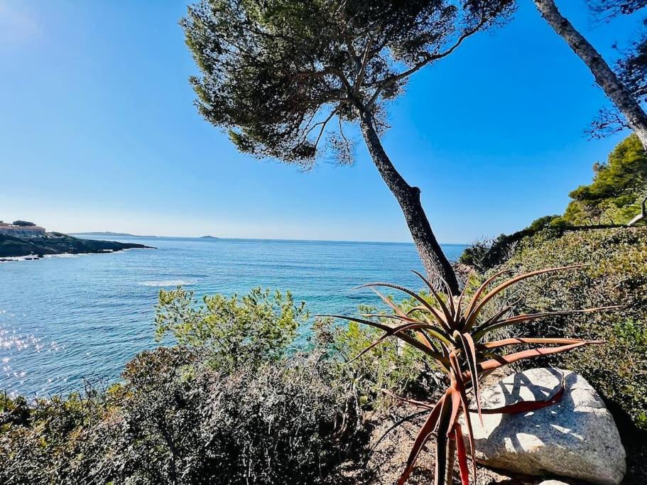 Apartment - Escapade A Portissol Sanary-sur-Mer